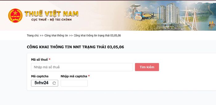 Màn hình tra cứu thông tin người nộp thuế trạng thái 03, 05, 06.