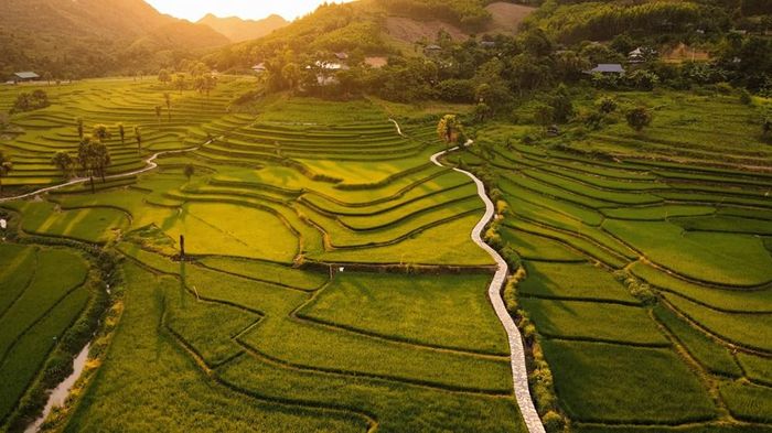 Những cánh đồng ruộng bậc thang uốn lượn tại xóm Bản Tèn