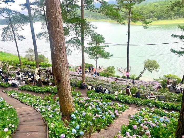 Tháng 9, Đà Lạt bắt đầu se lạnh. Ảnh: Minh Phượng