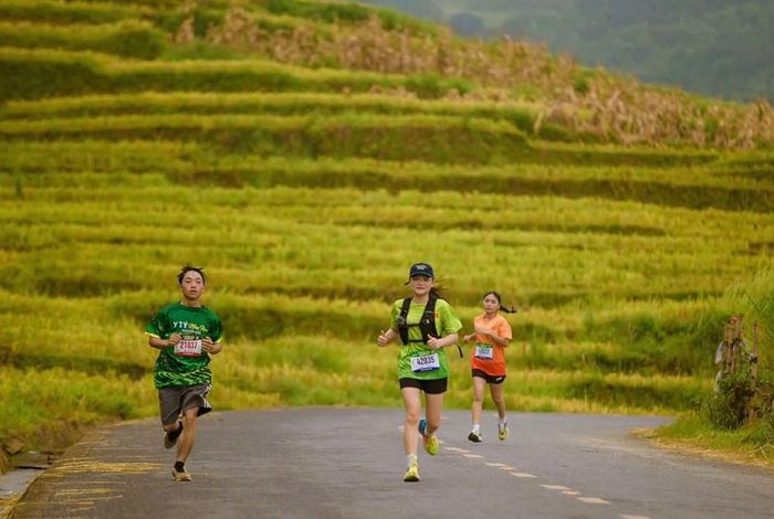Giải là điểm hẹn của cộng đồng những người yêu thích chạy bộ và du khách khi mùa vàng về trên vùng cao Y Tý