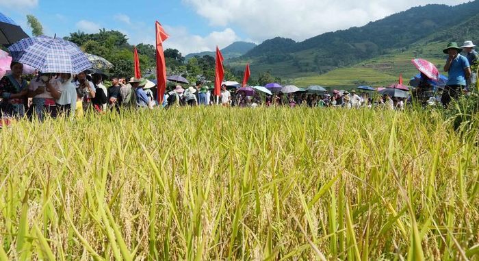 Đông đảo người dân và du khách tham gia ngày hội. Ảnh: Nguyễn Oanh-TTXVN.