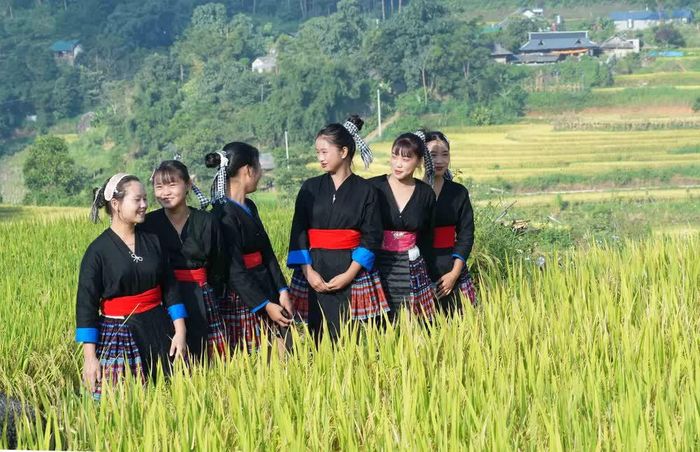 vè đẹp của thiếu nữ Mông tại Ngày hội “Mùa vàng Tả Lèng - Hương lúa giữa non cao”. Ảnh: Nguyễn Oanh-TTXVN.