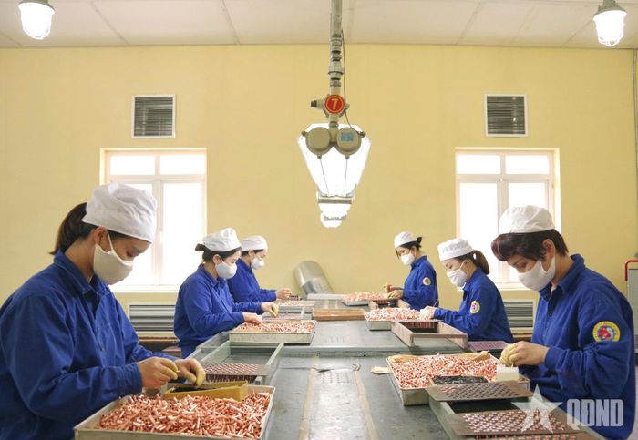  Hoạt động sản xuất tại Nhà máy Z121. Ảnh: NGUYỄN MẠNH 