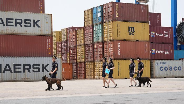 Hải quan Việt Nam sử dụng chó nghiệp vụ kiểm tra hàng cấm xuất, nhập khẩu.