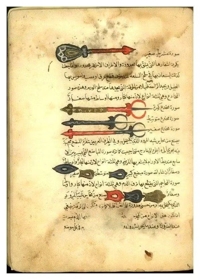 Ảnh: researchgate