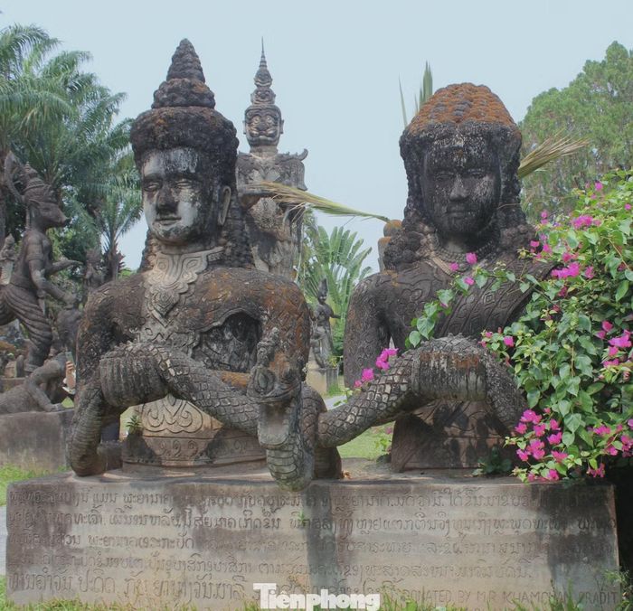 Giữa những khối tượng phủ màu thời gian, các khóm hoa giấy rực rỡ tạo nên sự tương phản về màu sắc và trở thành góc chụp ảnh được nhiều du khách yêu thích.