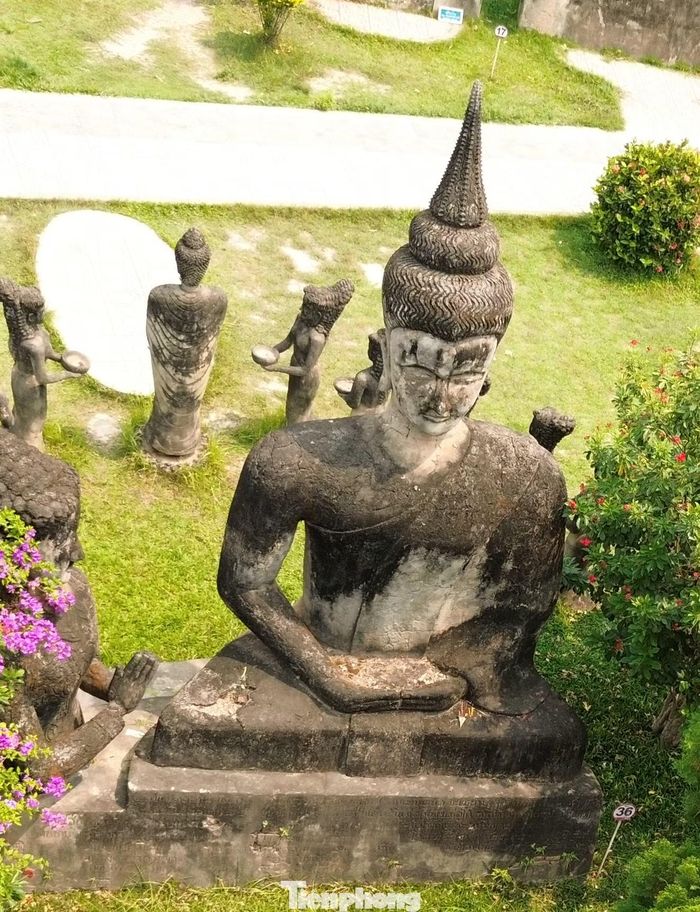 Không có những gian trưng bày khép kín, hơn 200 tác phẩm nằm rải rác giữa không gian ngoài trời, xen giữa cây xanh và hoa lá, khiến Xiêng Khuôn giống như một “bảo tàng điêu khắc” khổng lồ.