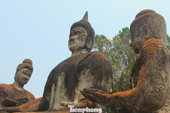 Trải qua gần 70 năm dưới nắng mưa, nhiều pho tượng đã nhuốm màu thời gian, bề mặt phủ rêu phong, tạo nên vẻ cổ kính và có phần huyền bí cho khu vườn.