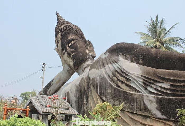Với kích thước vượt trội, tượng Phật nằm gây ấn tượng ngay từ xa và là điểm dừng chân được nhiều du khách lựa chọn khi khám phá khu vườn.
