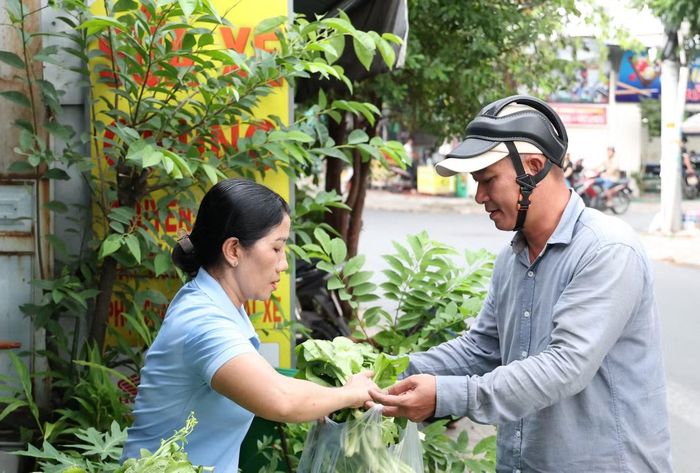 Bà Hạnh thu hoạch rau xanh và chia sẻ với người dân.