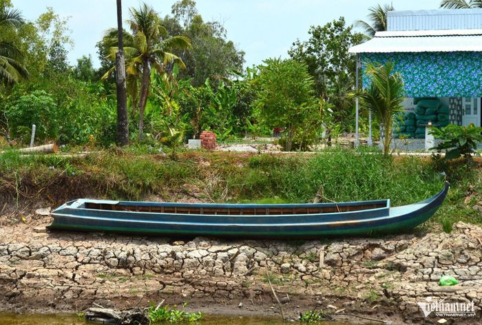 Nguy cơ gia tăng hạn mặn ở miền Tây trong năm El Nino mạnh. Ảnh: H.T