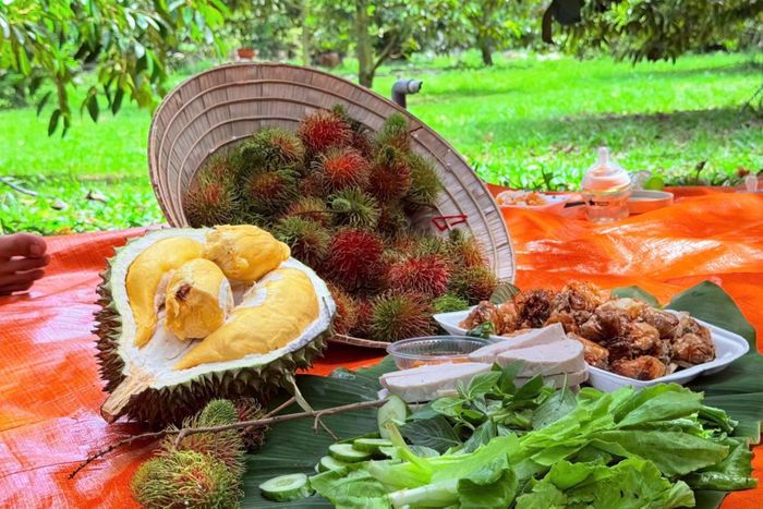 Gia đình chị Trinh ăn bữa trưa ngay tại vườn. Ảnh: NVCC