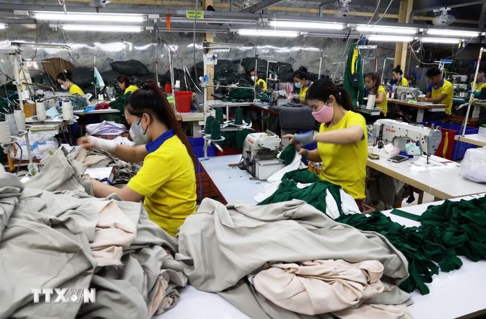 Hai nước đang hướng tới mục tiêu nâng kim ngạch thương mại song phương lên 150 tỷ USD vào năm 2030 theo hướng cân bằng và bền vững hơn. (Ảnh: TTXVN)
