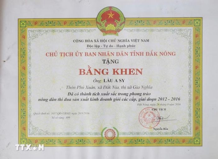 Ông Lầu A Sy (phường Đông Gia Nghĩa, tỉnh Lâm Đồng) được tặng Bằng khen đã có thành tích xuất sắc trong phong trào thi đua sản xuất kinh doanh giỏi các cấp. (Ảnh: Nguyễn Huy Thành/TTXVN)