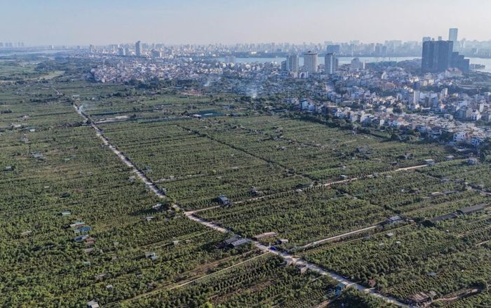 Cụm làng Nhật Tân - Tứ Liên thuộc diện tái thiết.