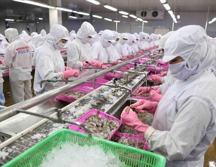 Thuỷ sản là một trong các mặt hàng xuất khẩu chủ lực của Việt Nam sang Nga. Ảnh: Vũ Sinh/TTXVN