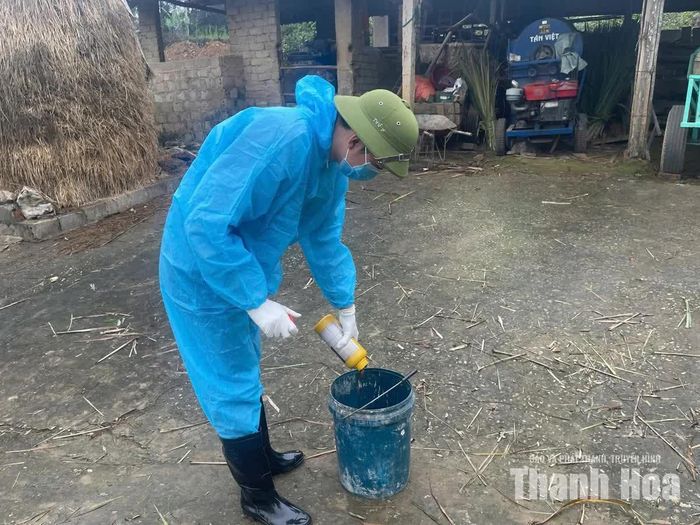 Cán bộ thú y pha hóa chất, phun tiêu độc khử trùng chuồng trại trước khi thực hiện tiêm phòng vắc-xin.