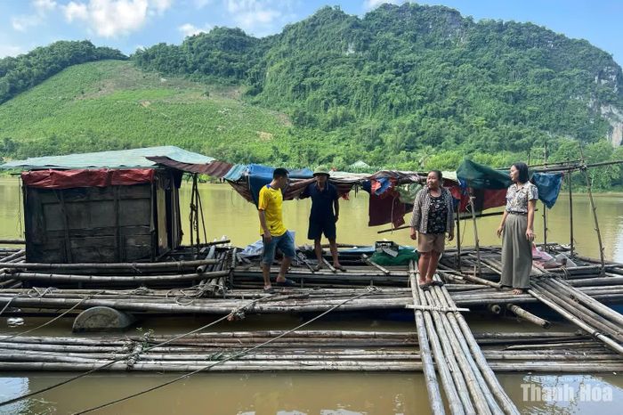 Chính quyền địa phương tiến hành kiểm tra thực tế tại lồng cá.