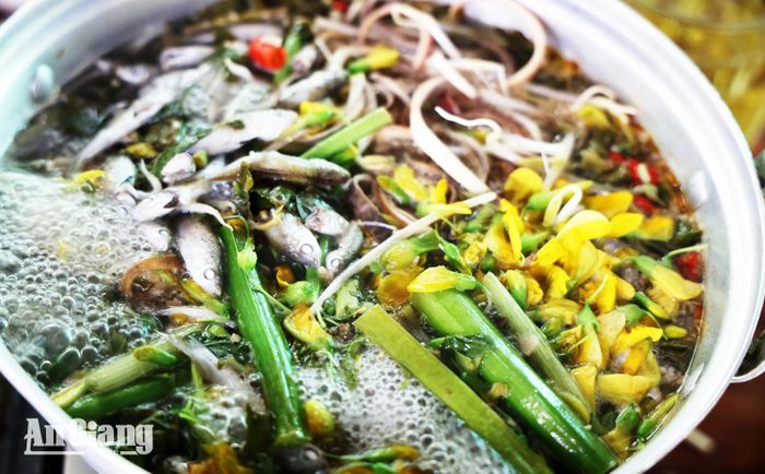 Thưởng thức món lẩu cá linh giữa đồng nước mênh mông là một trải nghiệm vô cùng thú vị.