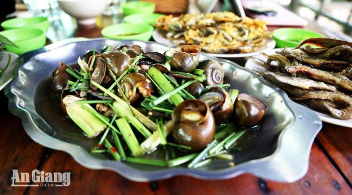 Ốc bươu đồng là đặc sản không thể bỏ qua trong mùa nước nổi.