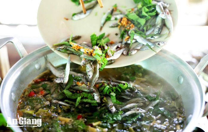 Cá linh - món quà thiên nhiên ban tặng người dân miền Tây trong mùa nước nổi.