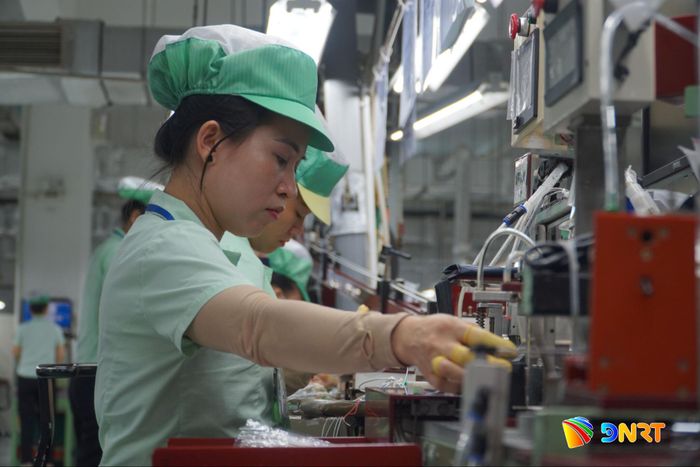 Để giữ chân nhân lực chất lượng cao, thành phố cần tạo thêm cơ hội việc làm và lộ trình phát triển nghề nghiệp rõ ràng. Ảnh: ĐỨC DUY