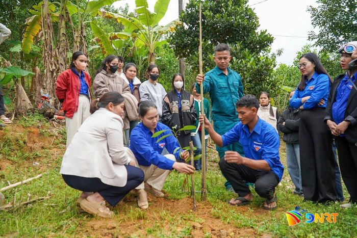 Thành đoàn Đà Nẵng tập huấn, hướng dẫn kỹ thuật trồng trọt cho thanh niên địa phương. Ảnh: LÂM VIÊN