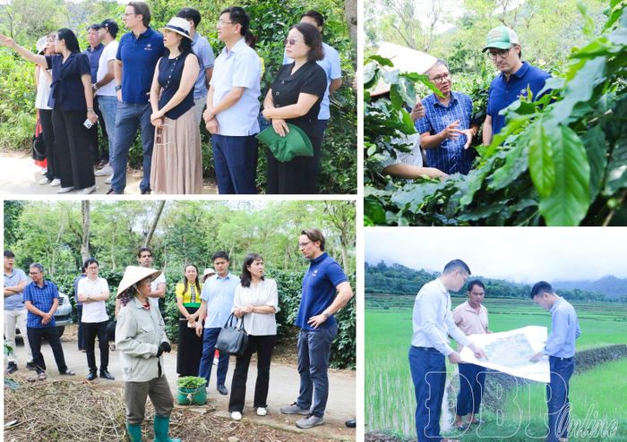 Dự án Nhà máy chế biến sâu cà phê do Công ty Cổ phần Cà phê Detech và Tập đoàn Neumann Kaffee Gruppe đầu tư giúp nâng cao giá trị và mở đường cho cà phê Điện Biên xuất khẩu.