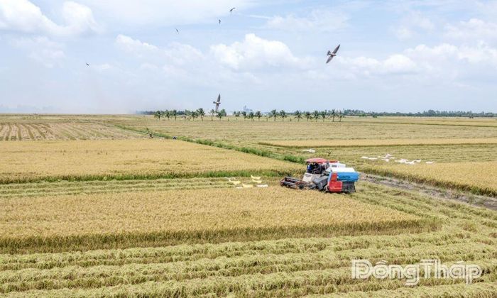 Tác phẩm “Phú Cường đồng vàng rộn ràng tiếng máy”.