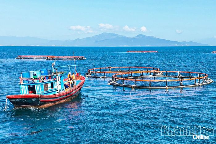 Nuôi biển bằng công nghệ cao tại Hòn Nội (phường Nha Trang).