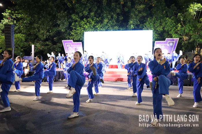 Tiết mục đồng diễn vovinam của đông đảo võ sinh 