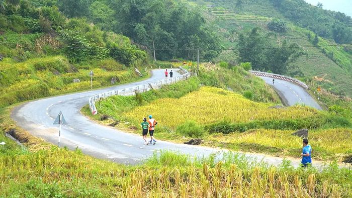 Những bước chạy giữa khung cảnh ruộng bậc thang mùa lúa chín.