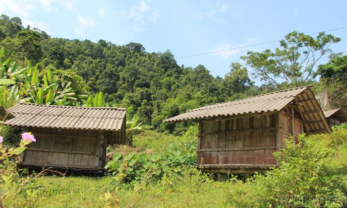 Sau khi tuốt lúa tại ruộng, người Dao đỏ ở Nậm Chày phơi khô rồi đưa thóc vào những kho nhỏ dựng cạnh đường, gần suối hoặc cách xa nơi sinh hoạt của gia đình. Cách bảo quản này góp phần gìn giữ nguồn lương thực và vun đắp cuộc sống no ấm nơi vùng cao.