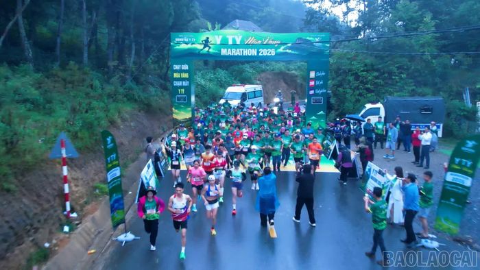 Hơn 100 vận động viên nam, nữ tranh tài ở các cự ly 10 km, 21 km và 42 km.