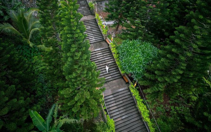 Đường lên chùa Linh Sơn Trường Thọ