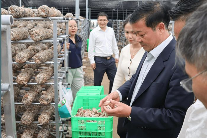 Phó Chủ tịch Thường trực UBND tỉnh Lê Trọng Yên đánh giá cao các mô hình nông nghiệp tại xã Đam Rông 1, đồng thời đề nghị địa phương quan tâm hỗ trợ người dân nhân rộng hơn nữa các mô hình tiêu biểu. Ảnh: Xuân Anh
