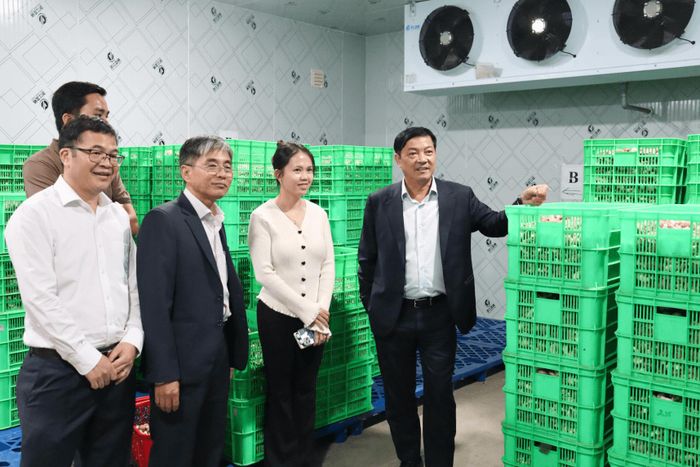 Lãnh đạo UBND tỉnh Lâm Đồng đề nghị địa phương bên cạnh mở rộng quy mô các mô hình nông nghiệp hiệu quả, cần chú trọng xây dựng thương hiệu, nâng giá trị sản phẩm và hình thành các mối liên kết bền vững trong sản xuất. Ảnh: Xuân Anh