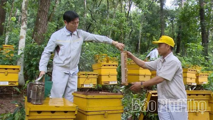 Bằng sự cần cù, sáng tạo, Honeco đã cho ra đời nhiều sản phẩm mật ong được thị trường trong và ngoài nước ưa chuộng.