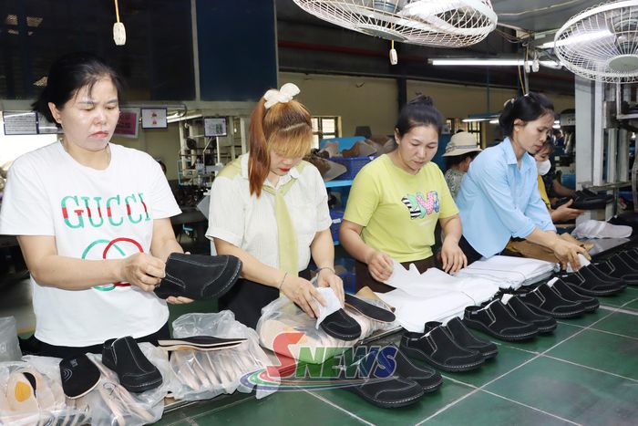 Thành viên Hợp tác xã sản xuất chè V-Shantea, xã Phù Yên đóng gói sản phẩm.