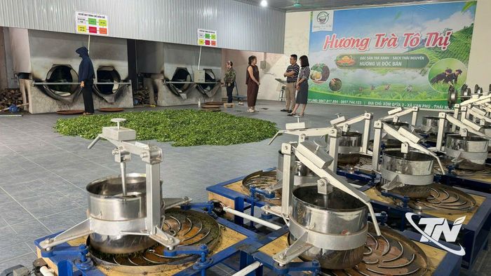 Nhờ lắp đặt hệ thống điện mặt trời mái nhà, Cơ sở sản xuất chè Hương Trà Tô Thị, xóm Giữa, xã Vạn Phú giảm khoảng 80% chi phí tiền điện, đồng thời chủ động hơn trong tổ chức các công đoạn sản xuất.