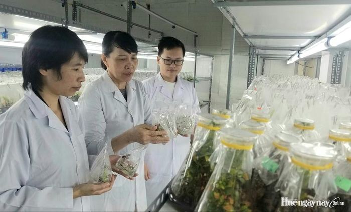  Đầu tư phòng thí nghiệm trọng điểm cho công nghệ sinh học là hạng mục mà thành phố Huế cần ưu tiên thực hiện
