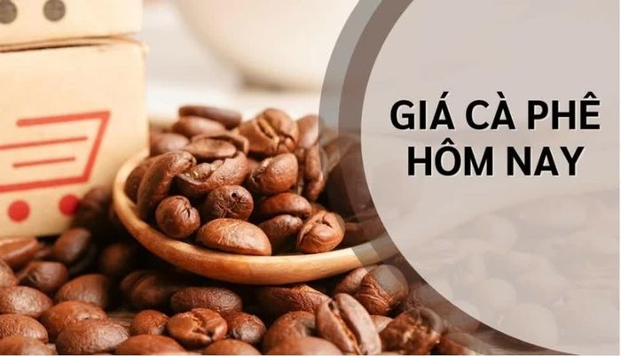 Giá cà phê hôm nay tại khu vực Tây Nguyên đảo chiều tăng. Ảnh minh họa