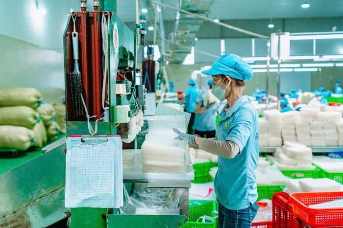 Yêu cầu từ các thị trường xuất khẩu ngày càng cao với hàng Việt.