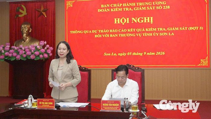 Phó Chủ tịch nước Võ Thị Ánh Xuân phát biểu kết luận tại Hội nghị.