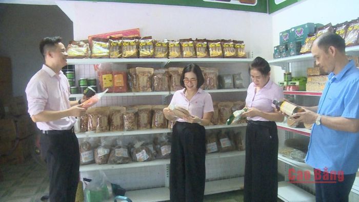 Cán bộ Phòng Giao dịch Ngân hàng Chính sách xã hội Thạch An kiểm tra, giám sát các đối tượng vay vốn ưu đãi.