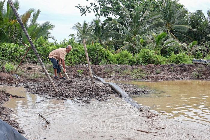 Khu vực bao ví bùn đất được ông Trần Văn Thảo, ấp Hàm Rồng, xã Năm Căn kiểm tra và bồi đắp thường xuyên.