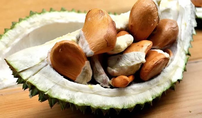 Hạt sầu riêng hỗ trợ hoạt động của hệ tiêu hóa và hạn chế tình trạng táo bón