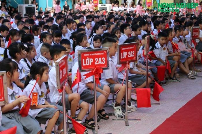Trường Tiểu học Nguyễn Công Trứ, không khí khai giảng cũng diễn ra sôi nổi, phấn khởi của các em học sinh.