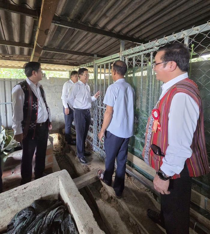 Bí thư Thành ủy Huế Nguyễn Đình Trung trực tiếp tìm hiểu tình hình chăn nuôi, quy trình chăm sóc đàn hươu