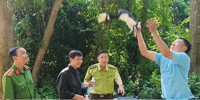  Cá thể Cao cát bụng trắng được thả về môi trường tự nhiên tại khu vực Rừng phòng hộ Núi Cấm, xã An Cư, tỉnh An Giang. Ảnh: CA tỉnh An Giang. 